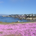 Monterey Bay - 2