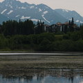 Alaska阿拉斯加 - 2