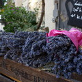 09' France, Roussillon & Gordes - 1