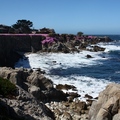 Monterey Bay - 5