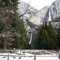 Snow in Yosemite - 1