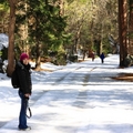 Snow in Yosemite - 2