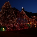 2011 Holiday Lights collection - 5