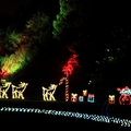 2011 Holiday Lights collection - 1