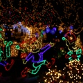 2011 Holiday Lights collection - 2