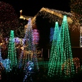 2011 Holiday Lights collection - 4