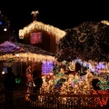 2011 Holiday Lights collection - 1