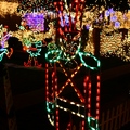 2011 Holiday Lights collection - 3