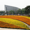 2011台北國際花卉博覽會 - 5