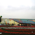 2011台北國際花卉博覽會 - 8