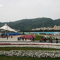 2011台北國際花卉博覽會 - 14