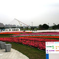 2011台北國際花卉博覽會 - 15