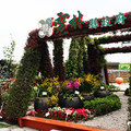 2011台北國際花卉博覽會 - 21