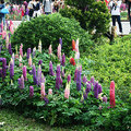 2011台北國際花卉博覽會 - 32