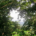 半山腰樹林與竹林密佈，想一窺竹東的遠景...尚不得其門而入