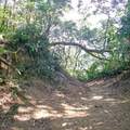 從石厝坑山往十三分山的鞍部，有一產業道路叉路口