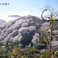 從臨近北插山頂之陡坡上，回顧鞍部，一片雪白，景像美呆了