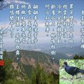 從東勢往大雪山森林遊樂區，車行50K抵小雪山遊客服務中心，旁有一230林道，徒步進入，其26K為中雪山登山口、28K為大雪山登山口，34.5K則為台灣最大神木所在。本欲探查大神木，路不通，改登中雪山，撿百岳一座。