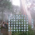 山迴路轉出雲峰，但有籐花霧裡逢。翠影多情方沐雨，垂枝少綠已臨冬。
騷蟬善解寒秋意，瓦雀難知雪雁蹤。古檜無爭憑曲徑，沿階偶遇老喬松。
(七律_上平二冬_2011.09.23)