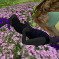 lay down in the some flowers