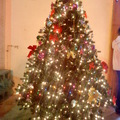 聖誕樹1