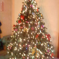 聖誕樹2