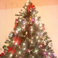 聖誕樹3
