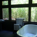 翠竹環繞浴室