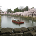2008年四月老公第一次出國旅遊 天氣淨好 櫻花遍地盛開  追櫻賞櫻十分順利
留下了美好的回憶