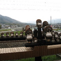 龜岡站月台景觀