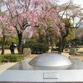 大阪公園內埋藏的20世紀文化財