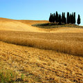 S Quirico d'Orcia e Val d'Orcia - 3