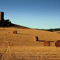 S Quirico d'Orcia e Val d'Orcia - 2