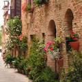 Pienza - 5