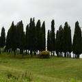 S Quirico d'Orcia e Val d'Orcia - 2