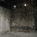 Ve Biennale Arsen 2009 - 3