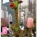 2011香港花卉展