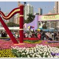 2011香港花卉展