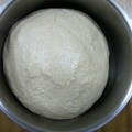 完成攪拌後的麵糰正進行發酵