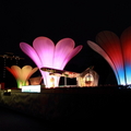 2010台北燈會 - 11
