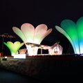 2010台北燈會 - 12