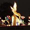 2010台北燈會 - 17