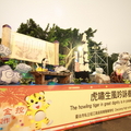 2010台北燈會 - 31
