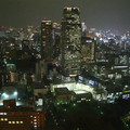 塔上的東京夜景