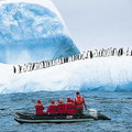 南極冰山上的企鵝族群
