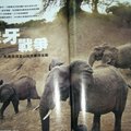 盜獵者為了象牙，不斷屠殺已經為數不多的中非大象，而查德則有一處保護區，為這種瀕危動物提供武裝保護，以及奮鬥下去的機會。以下是保育專家麥可‧費伊和攝影師麥可‧尼可斯在前線的採訪報導。