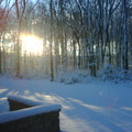 雪後清晨看日出