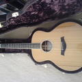 Taylor Acoustic GS7 (case)