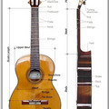 Classical Guitar Structure