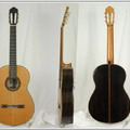 Classical Guitar-6